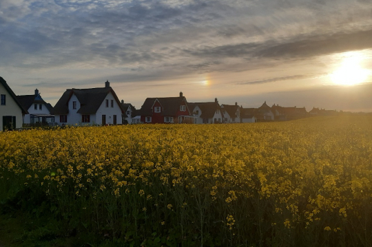 Ferienwohnungen